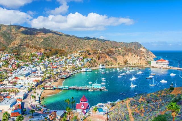 Catalina Island, California